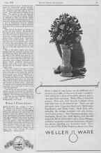 Better Homes & Gardens June 1928 Magazine Article: When I Plant Asters