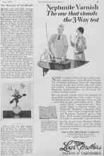 Better Homes & Gardens June 1928 Magazine Article: The Bouquet of the Month