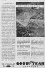 Better Homes & Gardens June 1928 Magazine Article: Grandmother's Rose Jar