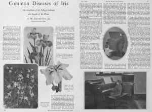 Better Homes & Gardens June 1928 Magazine Article: Page 20