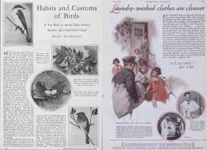 Better Homes & Gardens June 1928 Magazine Article: Page 40