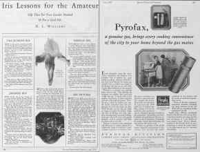 Better Homes & Gardens June 1928 Magazine Article: Page 64