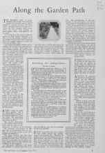 Better Homes & Gardens July 1928 Magazine Article: Along the Garden Path