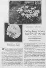 Better Homes & Gardens August 1928 Magazine Article: Getting Ready for Next Year's Peony Parade