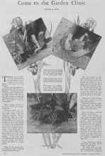 Better Homes & Gardens August 1928 Magazine Article: Come to the Garden Clinic