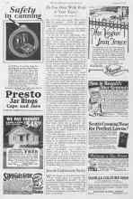 Better Homes & Gardens August 1928 Magazine Article: Join the Delphinium Society
