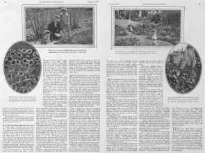 Better Homes & Gardens August 1928 Magazine Article: Page 8