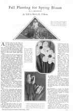 Better Homes & Gardens September 1928 Magazine Article: Fall Planting for Spring Bloom