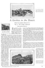Better Homes & Gardens September 1928 Magazine Article: A Garden in the Desert