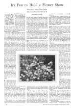 Better Homes & Gardens September 1928 Magazine Article: It's Fun to Hold a Flower Show