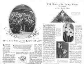 Better Homes & Gardens September 1928 Magazine Article: Page 10