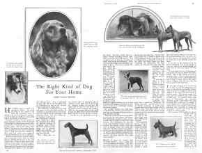 Better Homes & Gardens September 1928 Magazine Article: The Right Kind of Dog For Your Home