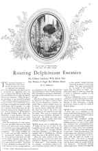Better Homes & Gardens October 1928 Magazine Article: Routing Delphinium Enemies