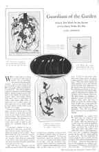 Better Homes & Gardens October 1928 Magazine Article: Guardians of the Garden