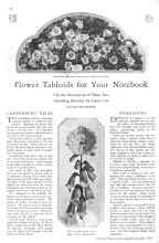 Better Homes & Gardens October 1928 Magazine Article: Flower Tabloids for Your Notebook