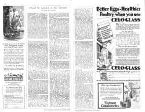 Better Homes & Gardens October 1928 Magazine Article: Page 104