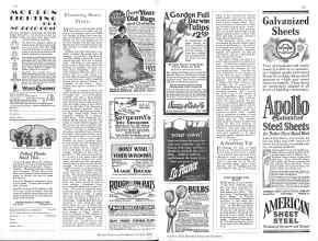 Better Homes & Gardens October 1928 Magazine Article: Flowering House Plants