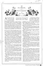 Better Homes & Gardens November 1928 Magazine Article: The FLOWER of a BUTTERFLY