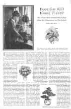 Better Homes & Gardens November 1928 Magazine Article: Does Gas Kill House Plants?
