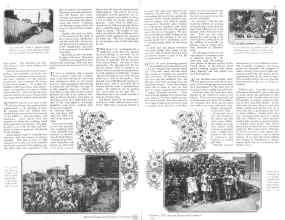 Better Homes & Gardens November 1928 Magazine Article: Page 14