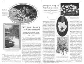 Better Homes & Gardens November 1928 Magazine Article: Page 18