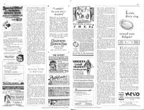 Better Homes & Gardens November 1928 Magazine Article: Growing Tulips in Red Clay