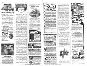 Better Homes & Gardens November 1928 Magazine Article: KNOW YOUR TREES