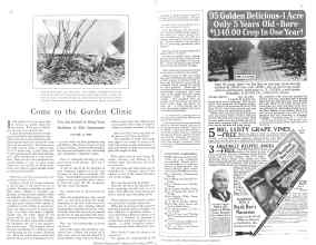 Better Homes & Gardens December 1928 Magazine Article: Come to the Garden Clinic