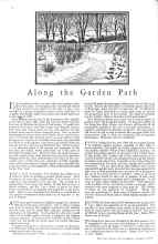 Better Homes & Gardens January 1929 Magazine Article: Along the Garden Path