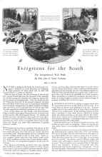 Better Homes & Gardens January 1929 Magazine Article: Evergreens for the South