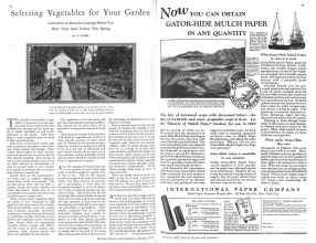 Better Homes & Gardens January 1929 Magazine Article: Page 42