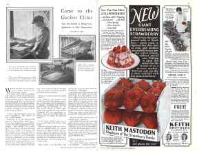 Better Homes & Gardens January 1929 Magazine Article: Page 48