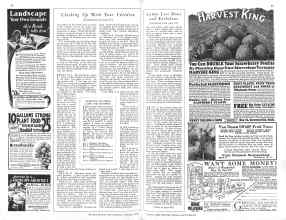 Better Homes & Gardens January 1929 Magazine Article: Page 58