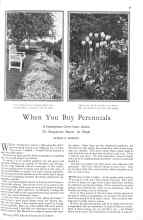 Better Homes & Gardens February 1929 Magazine Article: When You Buy Perennials