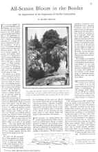 Better Homes & Gardens February 1929 Magazine Article: 23 All-Season Bloom in the Border