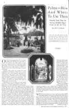 Better Homes & Gardens February 1929 Magazine Article: Palms--How And Where To Use Them