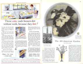 Better Homes & Gardens February 1929 Magazine Article: Page 12