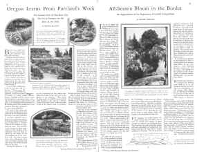 Better Homes & Gardens February 1929 Magazine Article: Page 22