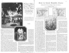 Better Homes & Gardens February 1929 Magazine Article: Page 30