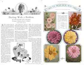 Better Homes & Gardens February 1929 Magazine Article: Page 36