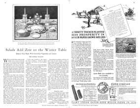 Better Homes & Gardens February 1929 Magazine Article: Page 44
