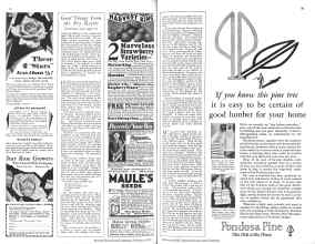 Better Homes & Gardens February 1929 Magazine Article: Page 58