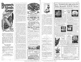 Better Homes & Gardens February 1929 Magazine Article: Page 68