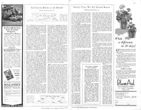 Better Homes & Gardens February 1929 Magazine Article: Page 90