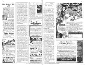 Better Homes & Gardens February 1929 Magazine Article: Page 98
