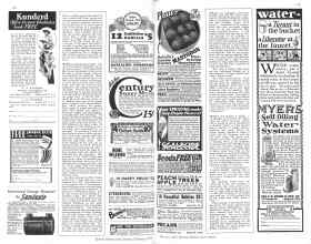 Better Homes & Gardens February 1929 Magazine Article: Page 118