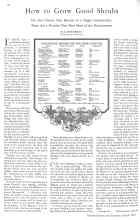 Better Homes & Gardens March 1929 Magazine Article: How to Grow Good Shrubs
