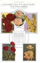 Better Homes & Gardens March 1929 Magazine Article: AN EXPERT TELLS YOU ABOUT ROSES FOR YOUR GARDEN