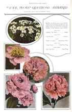 Better Homes & Gardens March 1929 Magazine Article: YOUR PEONY QUESTIONS--ANSWERED