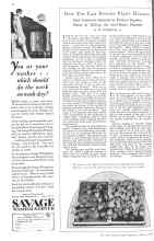 Better Homes & Gardens March 1929 Magazine Article: How You Can Prevent Plant Diseases